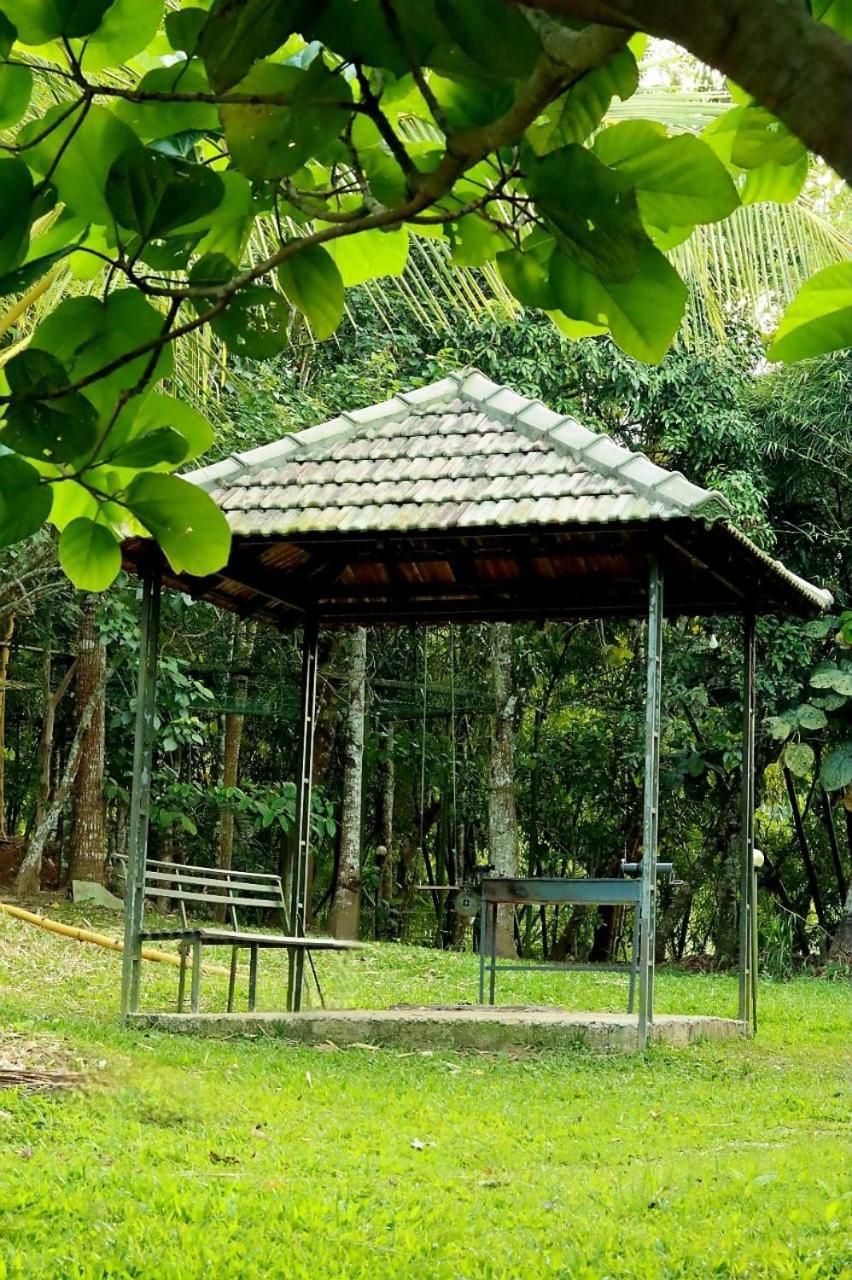 Ayurnest Pool Resort Wayanad Batheri Экстерьер фото