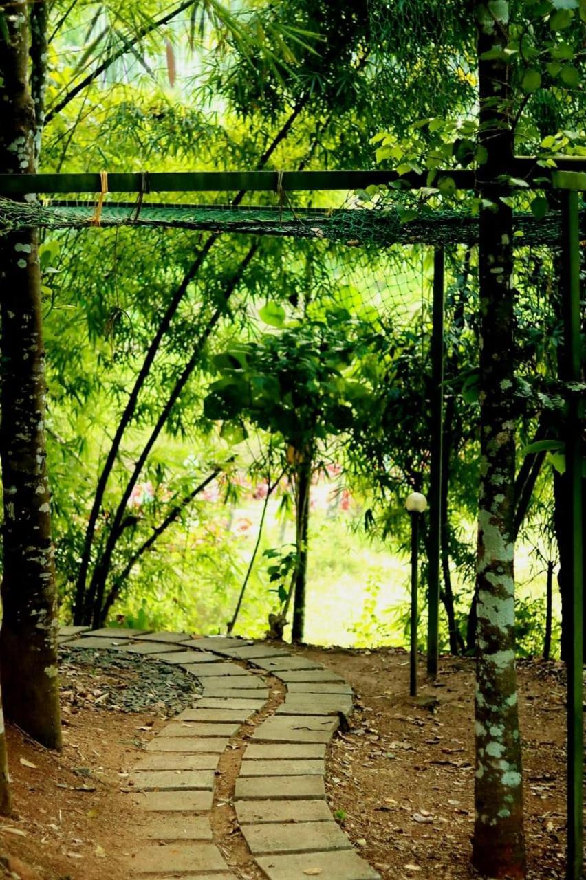 Ayurnest Pool Resort Wayanad Batheri Экстерьер фото