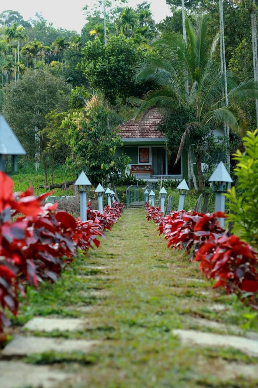 Ayurnest Pool Resort Wayanad Batheri Экстерьер фото