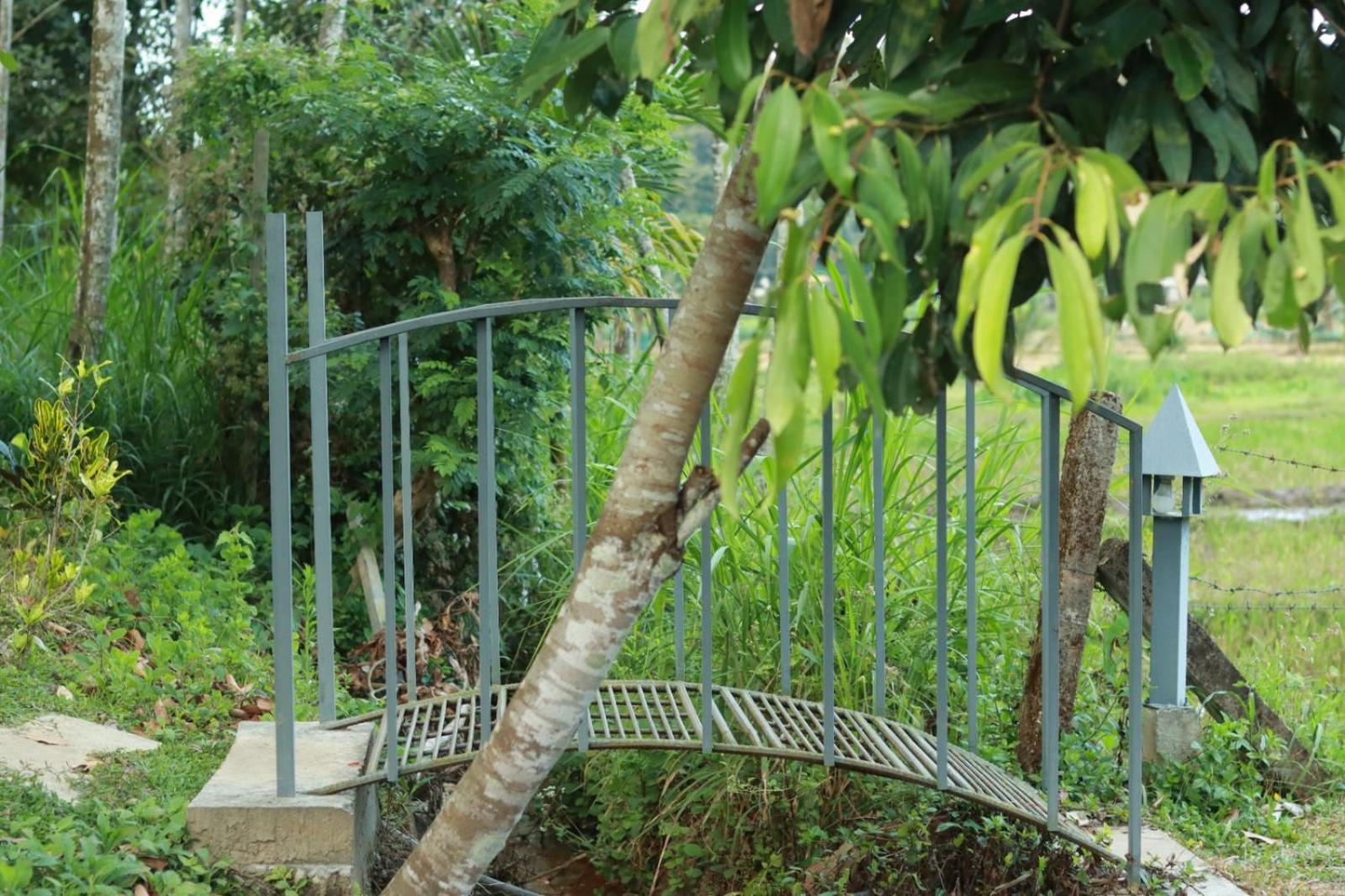 Ayurnest Pool Resort Wayanad Batheri Экстерьер фото